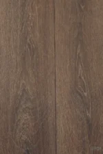 legio roble carbonizado