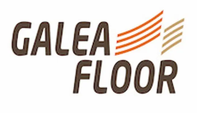 galea